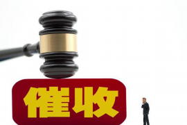 洛川为什么选择专业追讨公司来处理您的债务纠纷？